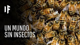 ¿Qué pasaría si las abejas desaparecieran del planeta [upl. by Hamlet361]