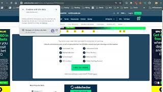 Oddschecker Paywall Workaround [upl. by Riamu821]