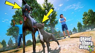 2 METRELİK DEV DOBERMAN YAVRU PİTBULLA KAPIŞIYOR  GTA 5 [upl. by Hintze100]