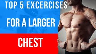 Top 5 Chest Building Exercises for a Larger Chest [upl. by Glantz]