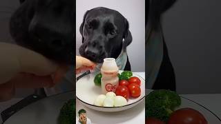 quotHappy Dog Kind Owner 🐕❤️  Cute Labrador Playing Shortsquot [upl. by Annaor]