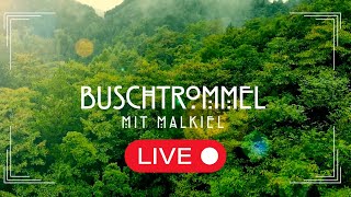 BUSCHTROMMEL live mit Malkiel [upl. by Ladnyk192]