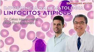 LINFOCITOS ATIPICOS  IMPORTANCIA NA HEMATOLOGIA [upl. by Melvin]