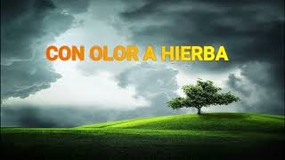 Con Olor a Hierba [upl. by Alyahs]