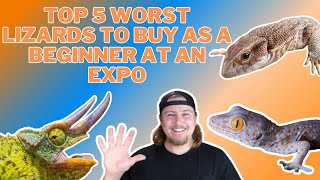 DON’T BUY THESE LIZARDS Top 5 Worst Lizards To Buy At Reptile Expos For Beginners [upl. by Wagner]