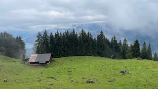 Niederhorn l Beatenburg l Beatenbucht l Switzerland [upl. by Anawat233]