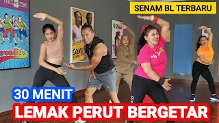 30 Menit Hilangkan Lemak Perut Dengan Cepat  Senam BL Paling Dahsyat [upl. by Forlini633]