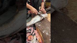 Amazing Super Fast sole Fish Boneless Cutting Skills shortvideo sole fish rrrm [upl. by Yecrad]