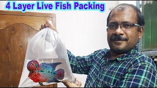 Live fish packing and Safe transportation [upl. by Neeluqcaj842]