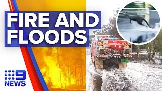 Firehit South Coast communities now flooding  Nine News Australia [upl. by Ydnes347]