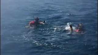 Coast Guard Rescue Swimmers with USCG Auxiliary [upl. by Willard]