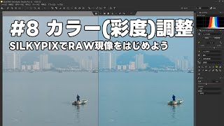 SILKYPIXでRAW現像をはじめよう 8 カラー（彩度）調整 [upl. by Giraud]