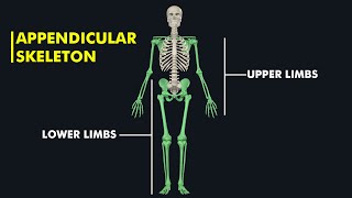 Ankle Fracture medical animation 3d short  Biology with Aliya [upl. by Dnumyar]