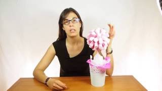 DIY Topiario de chuches [upl. by Tinya]