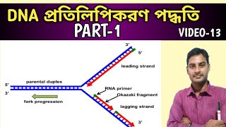 DNA Replication process in prokaryotes in bengali  Part 1  DNA প্রতিলিপিকরন part1 Class12 [upl. by Lidda]