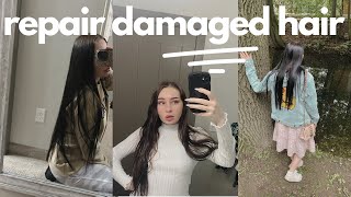 How I fixed my DAMAGED hair [upl. by Mila]