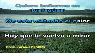 Laguna Vieja Tono Original  Reynaldo Armas  Karaoke [upl. by Sower667]