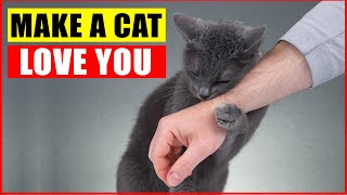 10 Scientific Ways to Get a Cat to Like You [upl. by Ennazor]