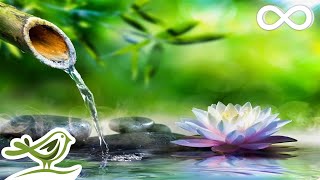 Soothing Relaxation Relaxing Piano Music amp Water Sounds for Sleep Meditation Spa amp Yoga [upl. by Anahsar]