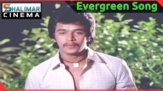 Evergreen Hit Song of the day  Rani Ranamma Video Song  shalimarcinema  Shlimarcinema [upl. by Nelleh743]