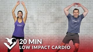 20 Minute Low Impact Standing Cardio Workout with No Jumping  20 Min Standing Workout for Beginners [upl. by Jobyna]