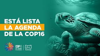 Estos serán los eventos oficiales en la zona azul de la COP16 en Cali [upl. by Asilav719]