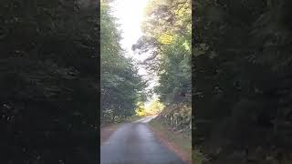 Driving down the Wicklow mountains in Ireland [upl. by Neerak]