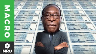 Zimbabwe and Hyperinflation Who Wants to Be a Trillionaire [upl. by Odlonyer118]