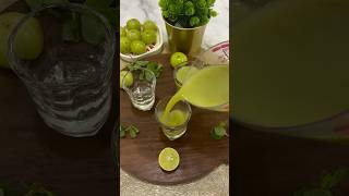 Amla Immunity Shot immunitybooster shots amla shorts easyrecipe maharashtra healthydrink [upl. by Eldreda]