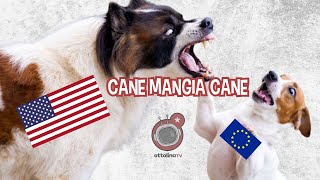 CANE MANGIA CANE come gli USA evitano il declino mangiandosi lEuropa che si mangia lItalia [upl. by Aehta]