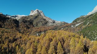 Autunno in Valle Stretta  Bardonecchia [upl. by Kerad]