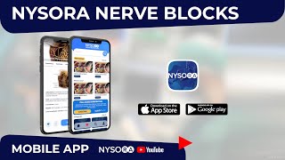 NYSORA Nerve Blocks Mobile App Features [upl. by Ahsii]