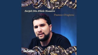 Serpii din zilele noastre feat DeSanto [upl. by Maurizia]