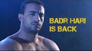 Badr Hari vs Brock Lesnar  Surprising Submission Victory [upl. by Leuqram]