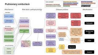 Pulmonary embolism mechanism of disease [upl. by Nordek]