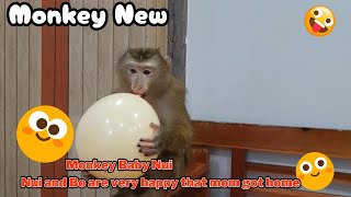 Monkey Baby Nui Nui and Bo are very happy that mom got home [upl. by Hahnert]