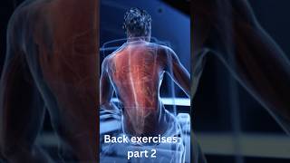 Relieve Lower Back Pain Fast  10Minute Stretching Routine music backpain lowerbackpain pain [upl. by Nedry806]