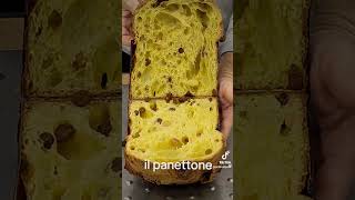 Ad ogni ricettaimpastocotturatagliosi riparte per provare nuovi bilanciamenti panettone [upl. by Oiluj]