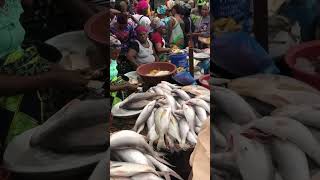 Seafood market Makoko [upl. by Ardys]