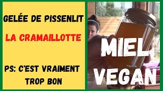 Gelée de FLEURS de PISSENLIT la cramaillotte  le MIEL VEGAN [upl. by Angele]