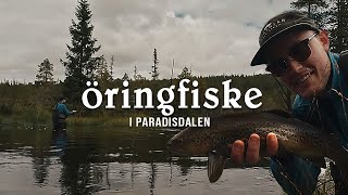 Öringfiske i Dalarna  Paradisdalen [upl. by Rihaz]