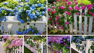 25 Inspiring Backyard fence ideas with flowers for your garden  Garden ideas  Fantastic fencing [upl. by Ynatterb]