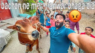 Bachon ne mara janwar bhaga dia 😡bakra eid special  syed fahad  the fun fin [upl. by Anyek]