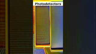 Photodetectors [upl. by Worra607]