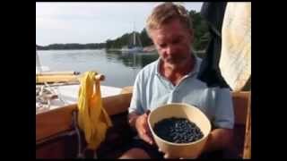 Folkboat sailing 2011 part 4 [upl. by Yhtrod]