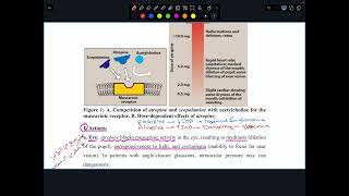 Cholinergic antagonists 1 [upl. by Chase590]