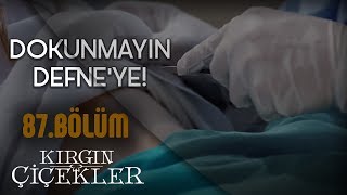 Kızlar mafyanın elinden kurtulabilecek mi  Kırgın Çiçekler 87Bölüm [upl. by Olmstead]