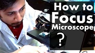 How to focus a microscope  The best microscope focusing procedure steps [upl. by Zia]