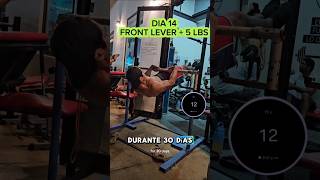 Dia 14 Front lever frontleveronearmfrontleverfrontleverpullups calistenia streetworkout [upl. by Enrobialc945]