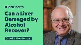 Can a Liver Damaged by Alcohol Recover [upl. by Atiuqehc]